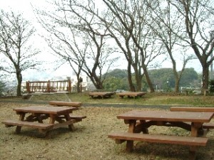 久徴園頂上より大念寺方向を望む