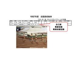 08全国総体(7-25,26,27,28,29@広島広域公園)pdfのサムネイル