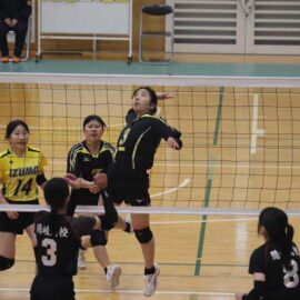 【女子バレー部】県新人戦結果報告