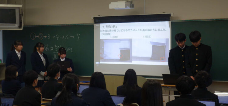 【SSH】1年SS探究基礎「課題研究基礎 クラス内発表会」を行いました