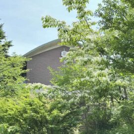 久徴園の草木花 2026年5月